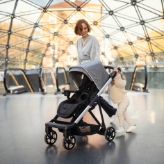 Poussette Shine Silver Thule 2