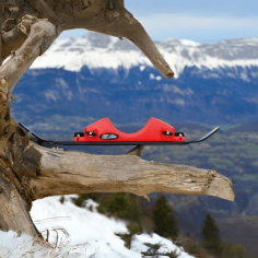 Kit de Ski 2 roues Classic... 2
