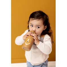 Gourde 350ml - Mr. Bear -... 2